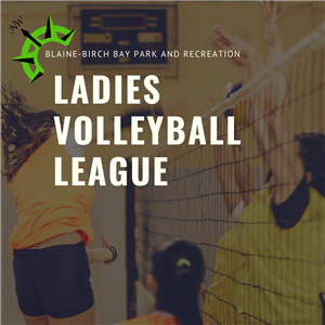Ladies Volleyball