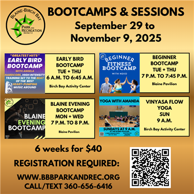 bootcamps fall