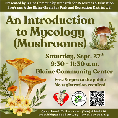 mushrooms mushrooms
