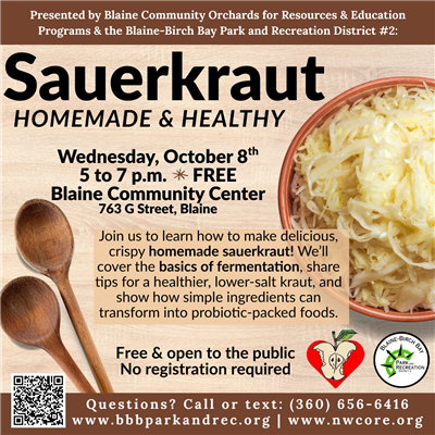 sauerkraut sauerkraut