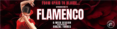 Flamenco Flamenco