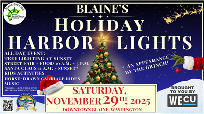 Holiday Lights Holiday Lights