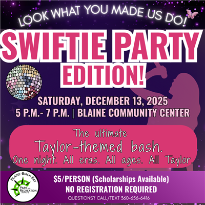 Taylor Swift Party Taylor Swift Party